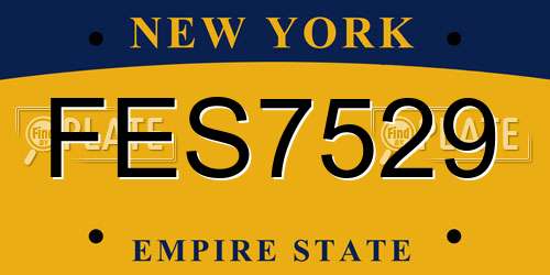 FES7529 New York License Plate