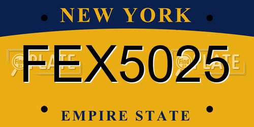 FEX5025 New York License Plate