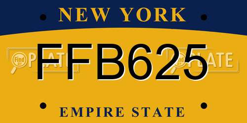 FFB625 New York License Plate
