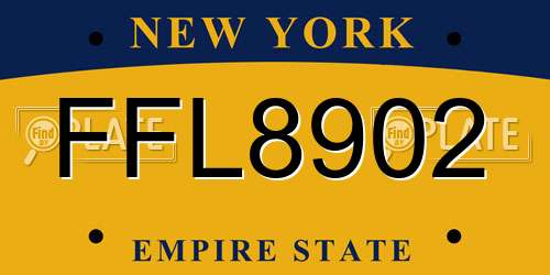 FFL8902 New York License Plate
