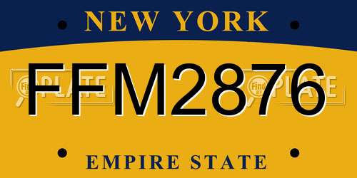 FFM2876 New York License Plate