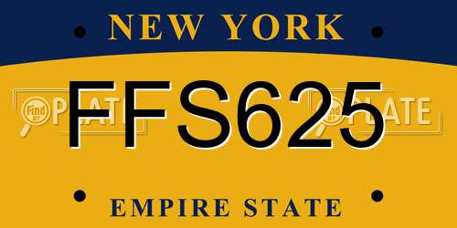 FFS625 New York License Plate