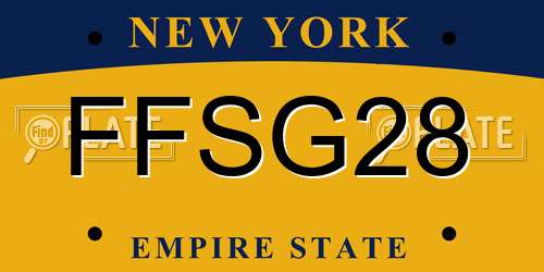 FFSG28 New York License Plate