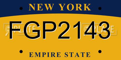 FGP2143 New York License Plate