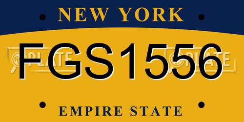 FGS1556 New York License Plate