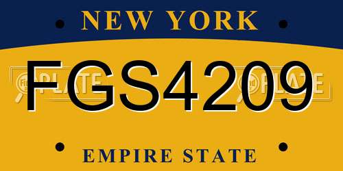 FGS4209 New York License Plate