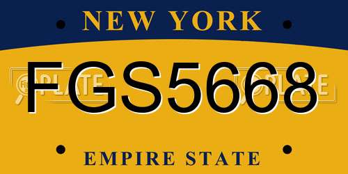 FGS5668 New York License Plate