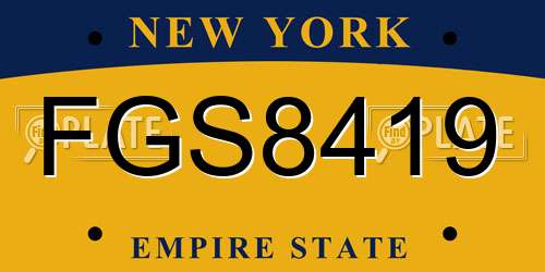 FGS8419 New York License Plate