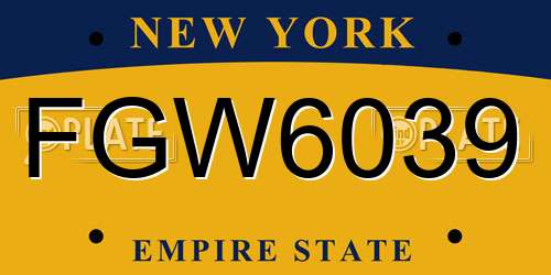 FGW6039 New York License Plate