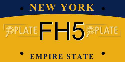 FH5 New York License Plate