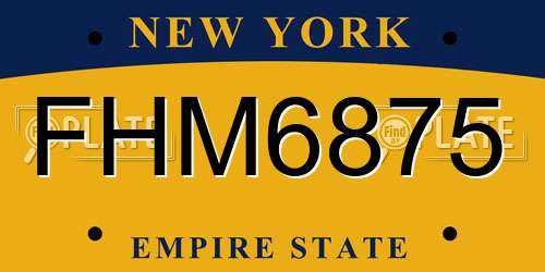 FHM6875 New York License Plate