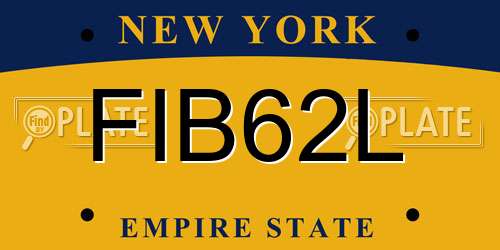 FIB62L New York License Plate