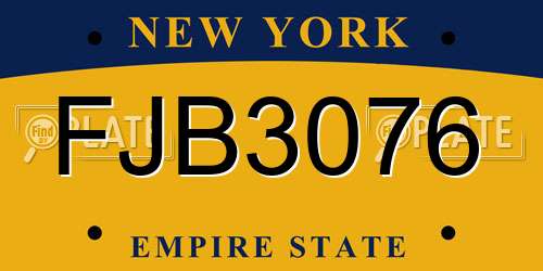 FJB3076 New York License Plate