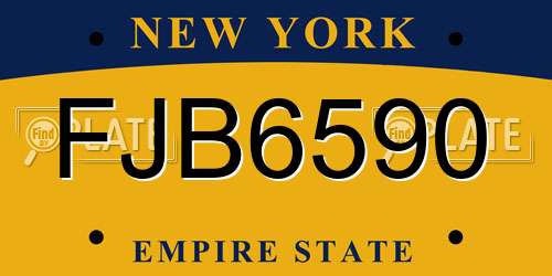 FJB6590 New York License Plate