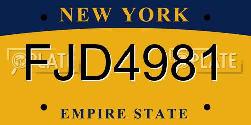 FJD4981 New York License Plate