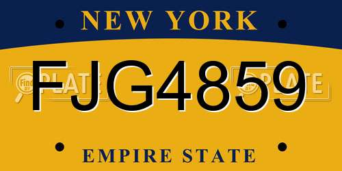 FJG4859 New York License Plate