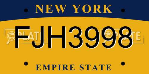 FJH3998 New York License Plate