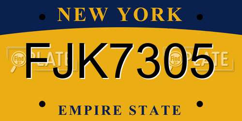 FJK7305 New York License Plate