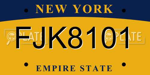 FJK8101 New York License Plate