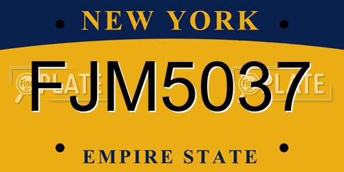 FJM5037 New York License Plate
