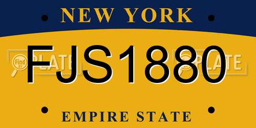 FJS1880 New York License Plate