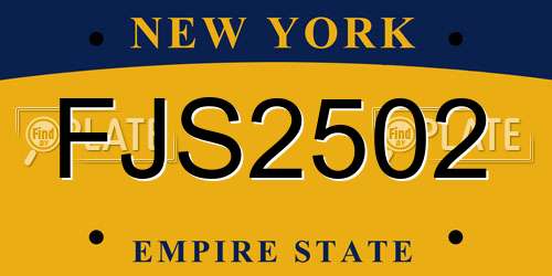 FJS2502 New York License Plate