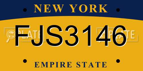 FJS3146 New York License Plate