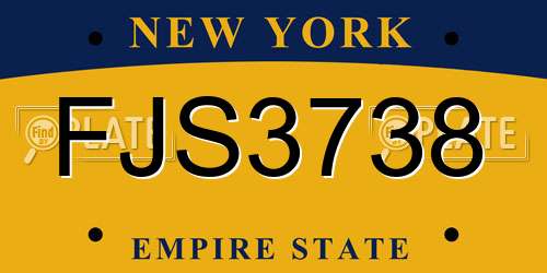 FJS3738 New York License Plate