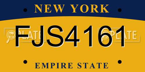 FJS4161 New York License Plate