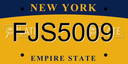 FJS5009 New York License Plate