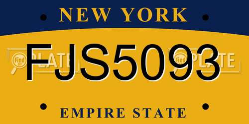 FJS5093 New York License Plate
