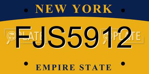 FJS5912 New York License Plate