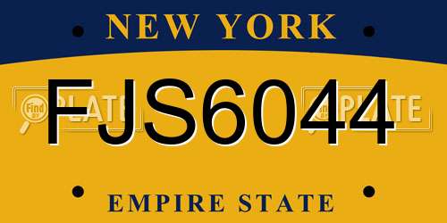 FJS6044 New York License Plate