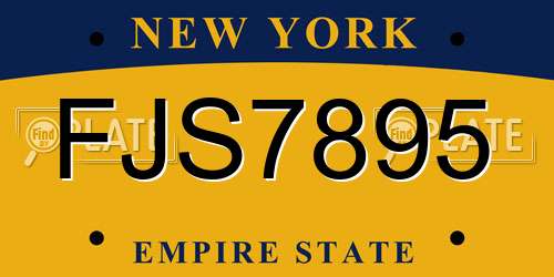 FJS7895 New York License Plate
