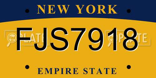 FJS7918 New York License Plate