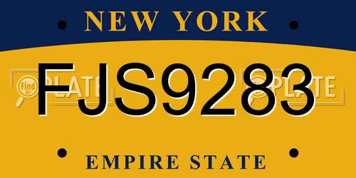 FJS9283 New York License Plate