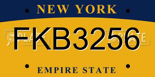 FKB3256 New York License Plate