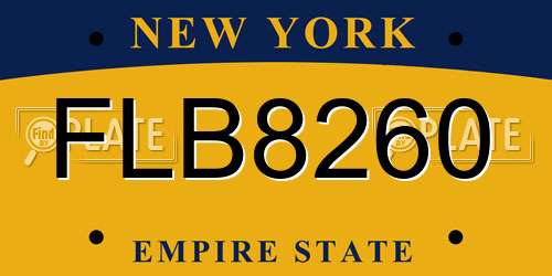 FLB8260 New York License Plate