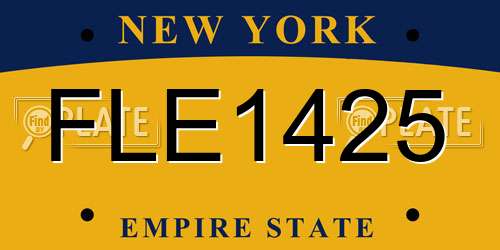 FLE1425 New York License Plate