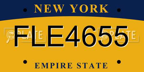 FLE4655 New York License Plate