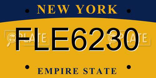 FLE6230 New York License Plate