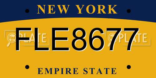 FLE8677 New York License Plate