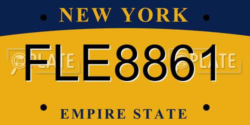 FLE8861 New York License Plate