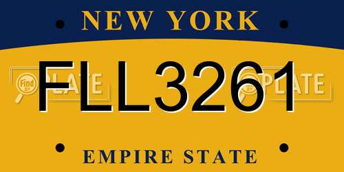 FLL3261 New York License Plate