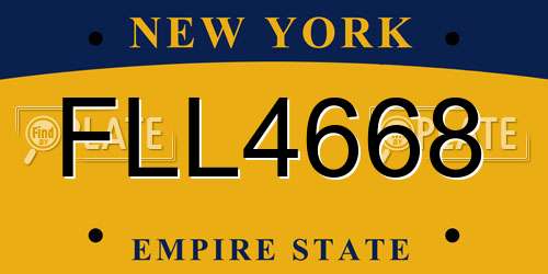 FLL4668 New York License Plate