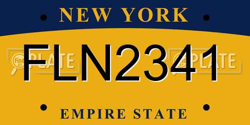 FLN2341 New York License Plate