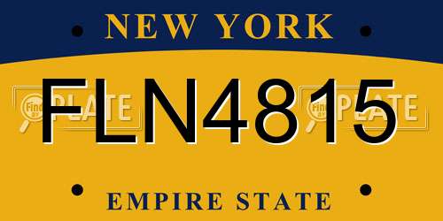 FLN4815 New York License Plate