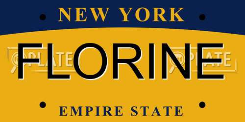 FLORINE New York License Plate