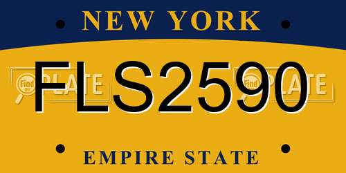 FLS2590 New York License Plate