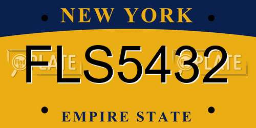 FLS5432 New York License Plate
